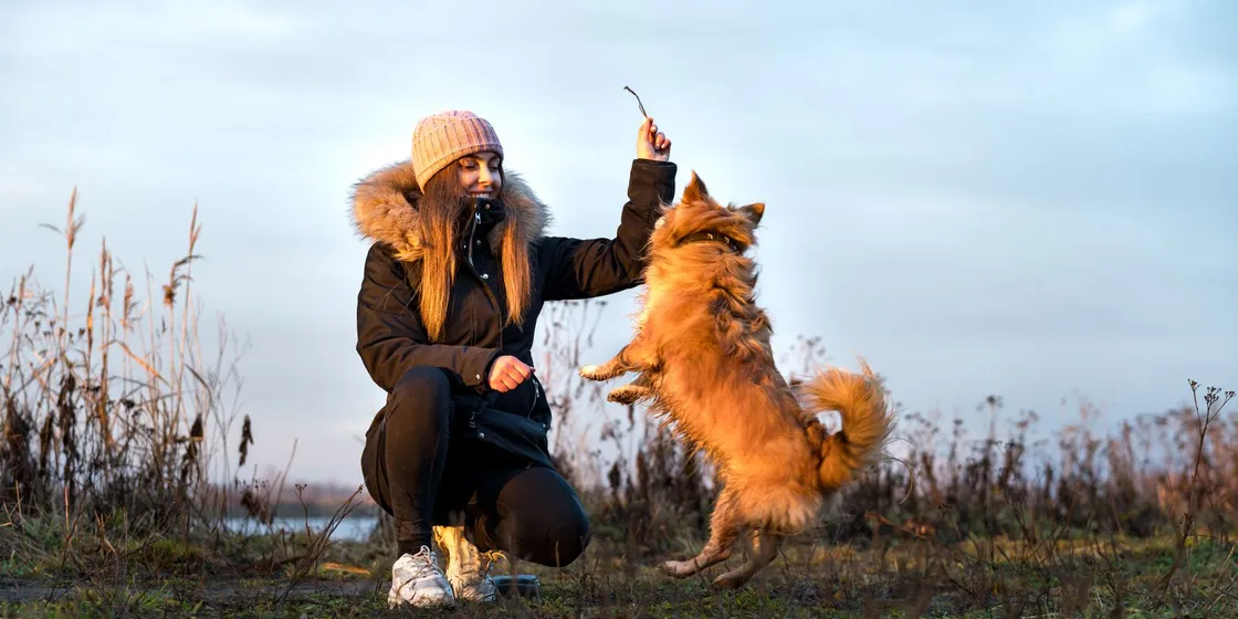 Dog jumping up towards a woman in an autumn field